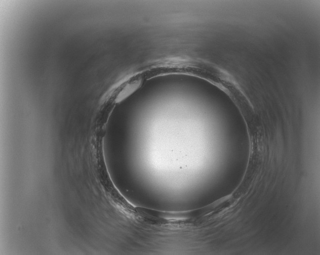 X0000080131304200612151728