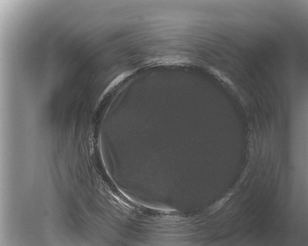 X0000080131306200612151728