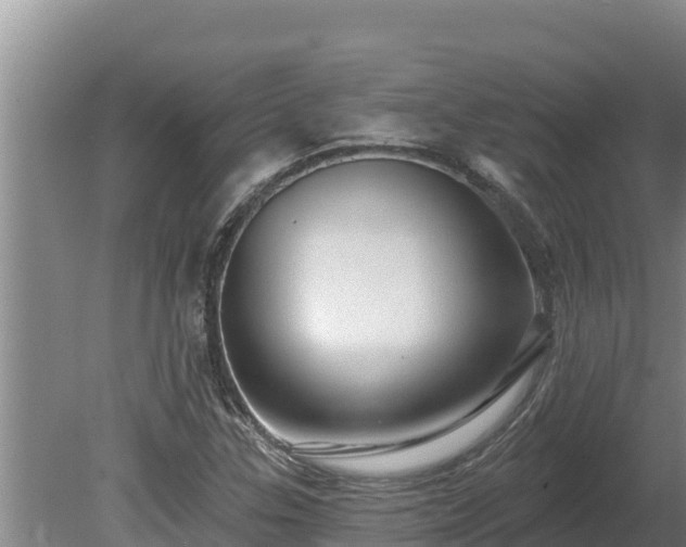 X0000080131307200612151728