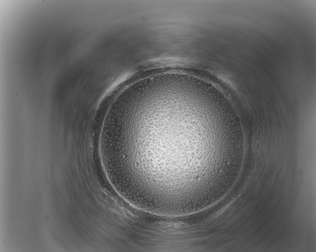 X0000080131309200612151728