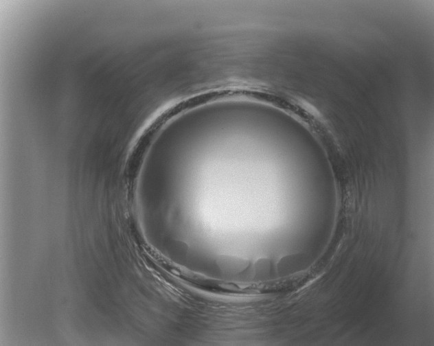 X0000080131310200612151728