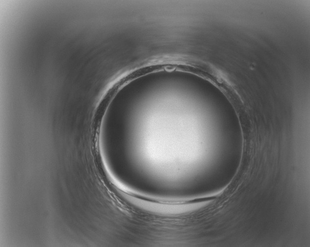 X0000080131312200612151728