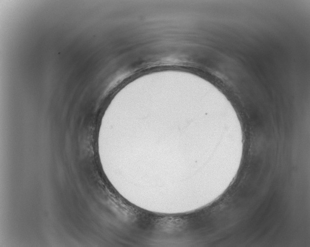 X0000080131314200612151728