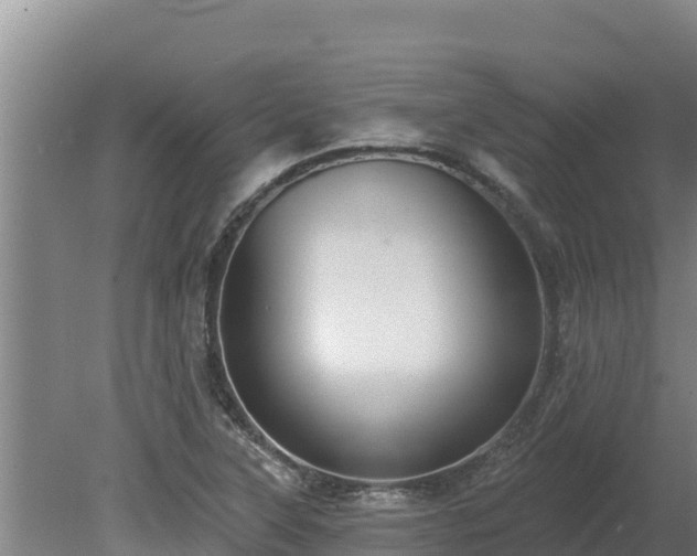 X0000080131315200612151728