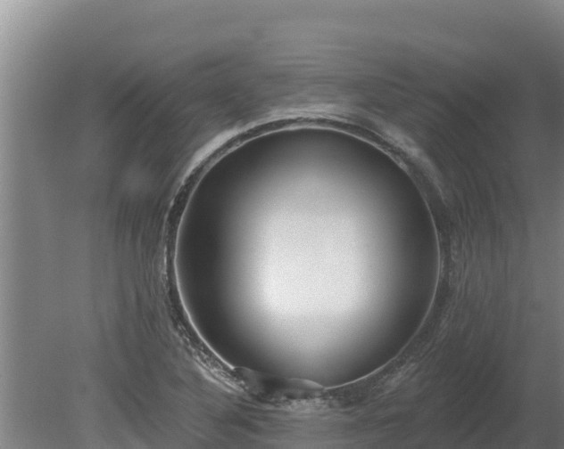 X0000080131316200612151728