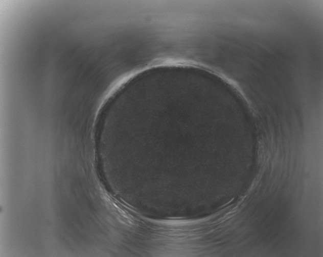 X0000080131319200612151728