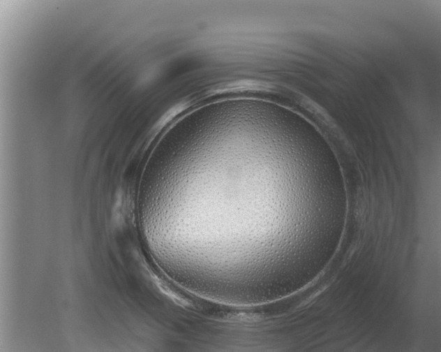 X0000080131321200612151728