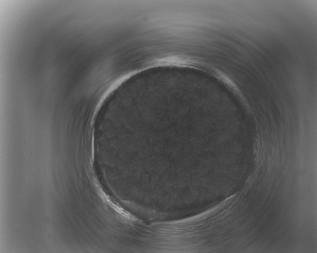 X0000080131323200612151728