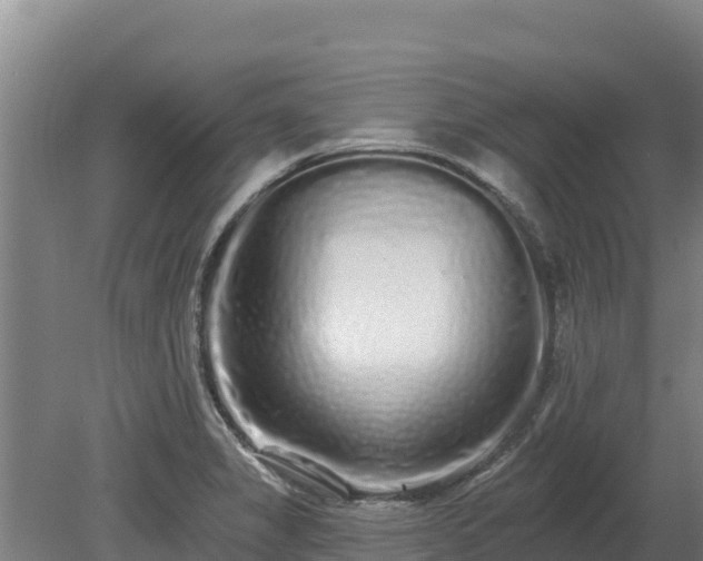 X0000080131325200612151728