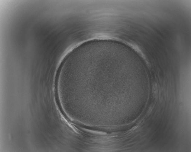 X0000080131327200612151728