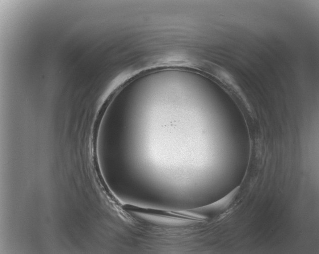 X0000080131328200612151728