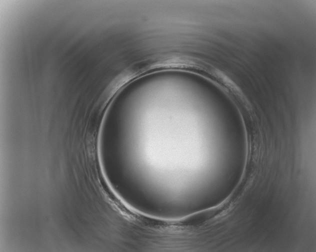 X0000080131329200612151728