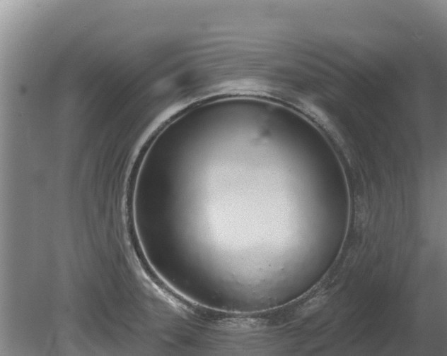 X0000080131331200612151728