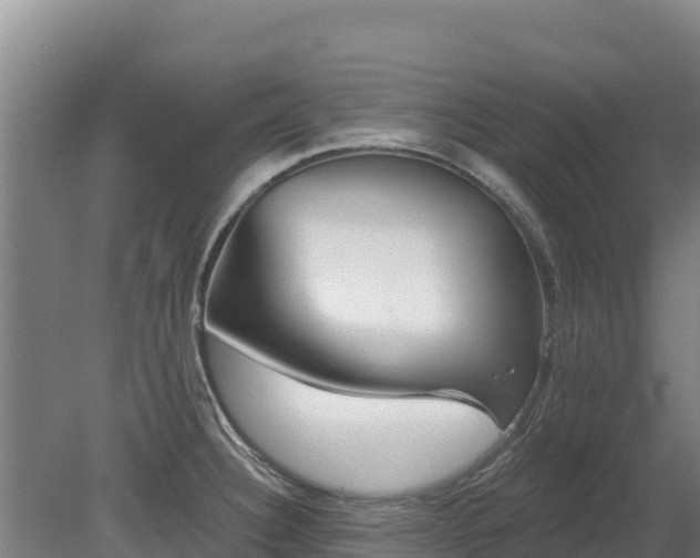 X0000080131332200612151728