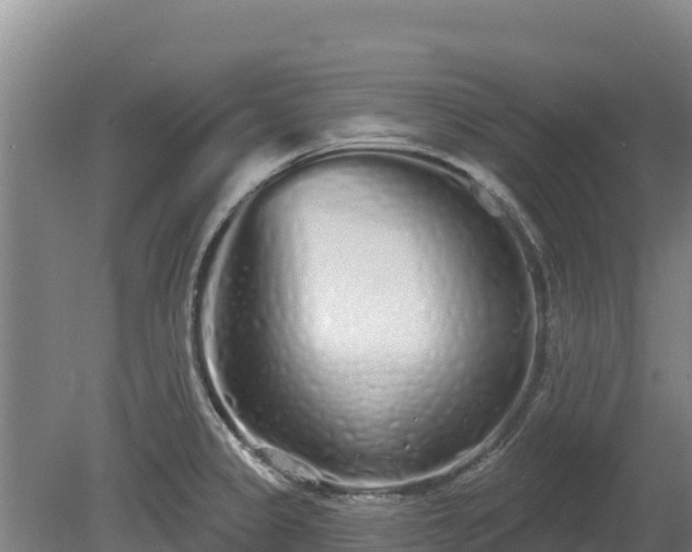 X0000080131333200612151728