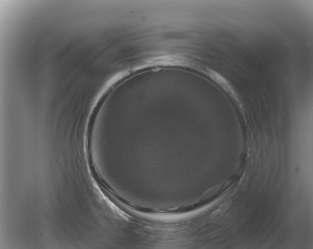 X0000080131334200612151728