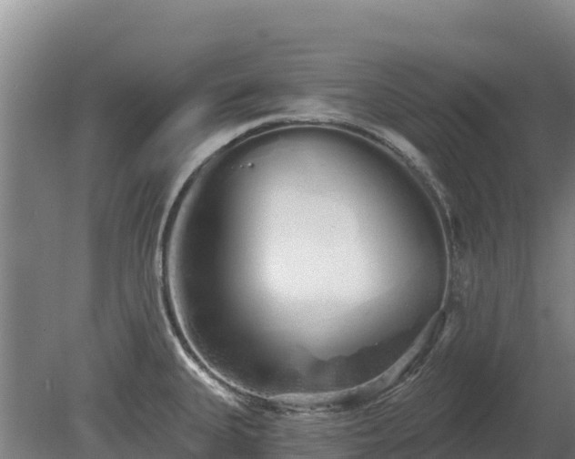 X0000080131335200612151728