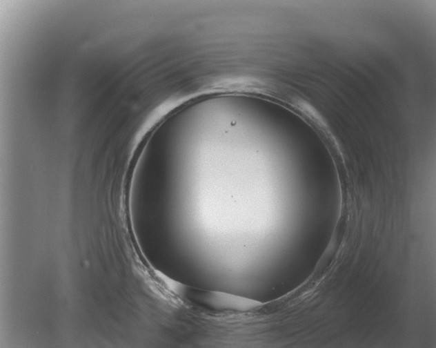 X0000080131336200612151728