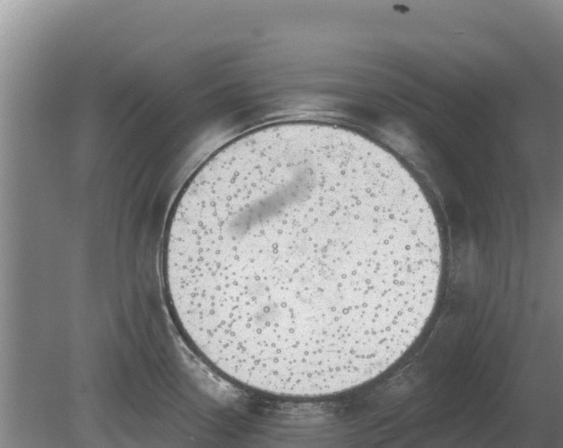 X0000080131338200612151728