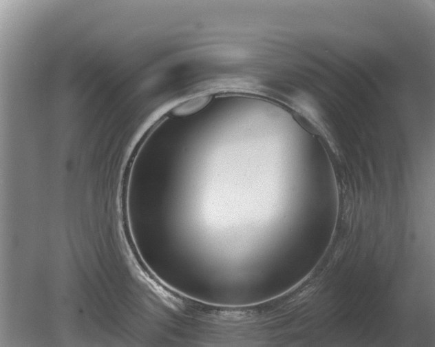 X0000080131339200612151729