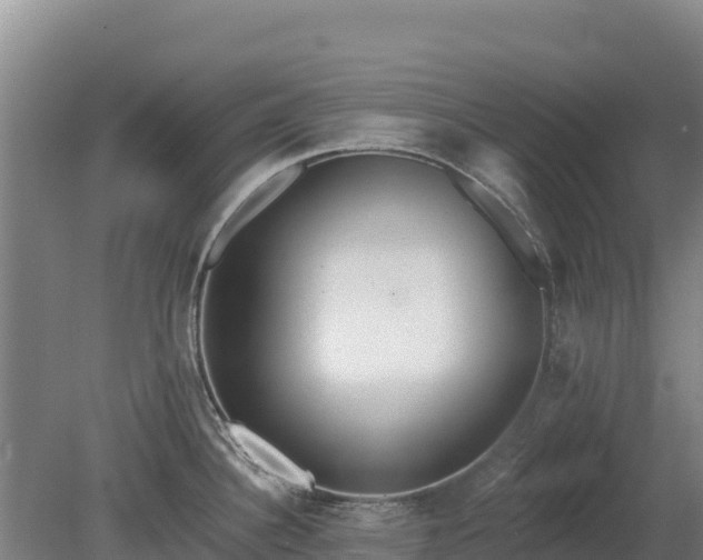 X0000080131340200612151729