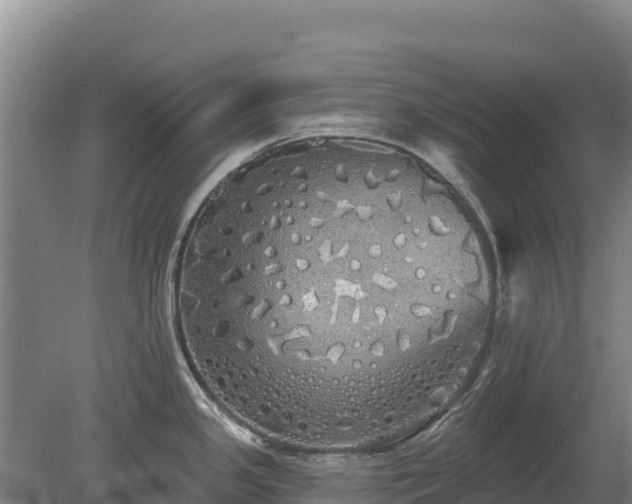 X0000080131341200612151729