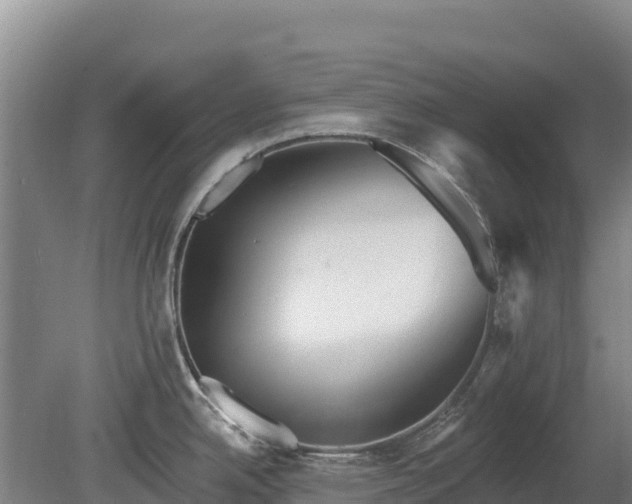 X0000080131342200612151729