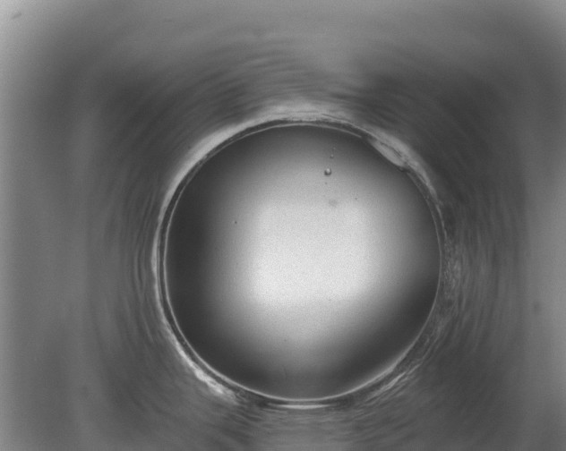 X0000080131343200612151729