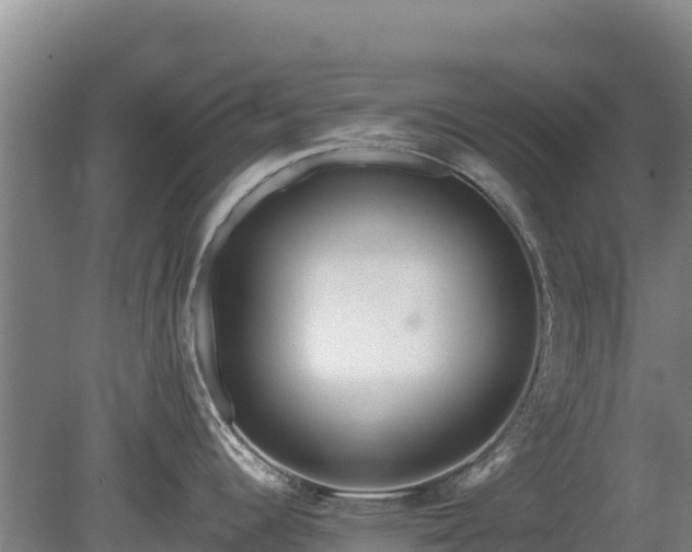 X0000080131344200612151729