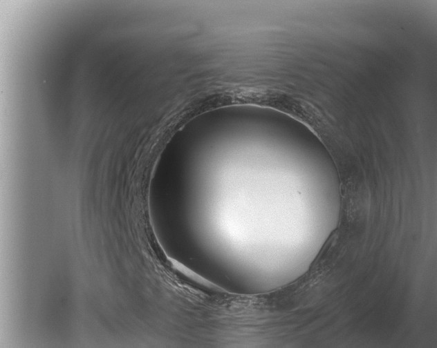 X0000080131345200612151728