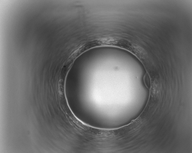 X0000080131346200612151728