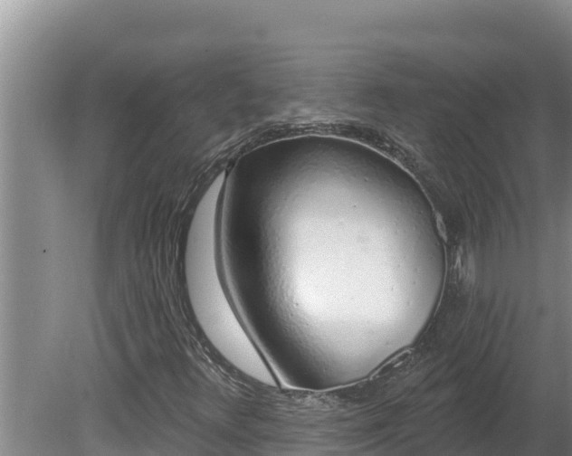 X0000080131348200612151728