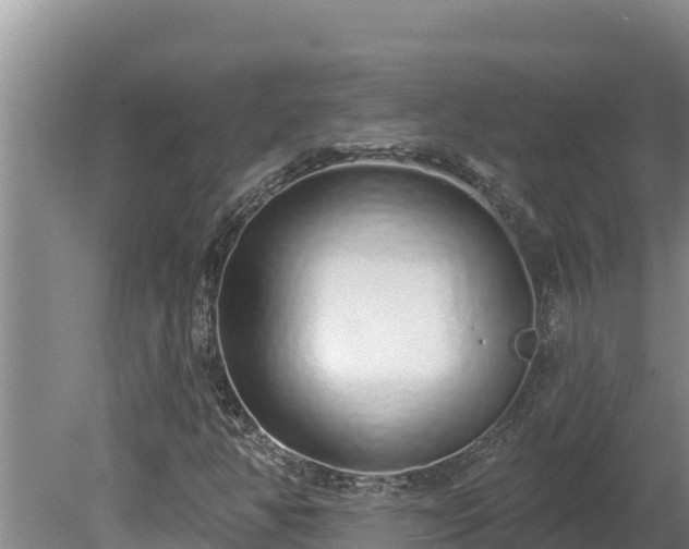 X0000080131350200612151728