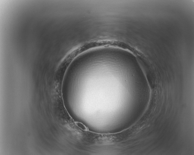 X0000080131351200612151728