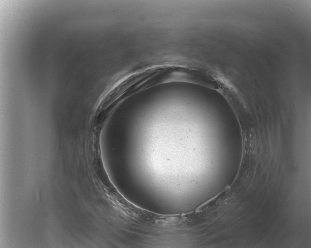 X0000080131352200612151728