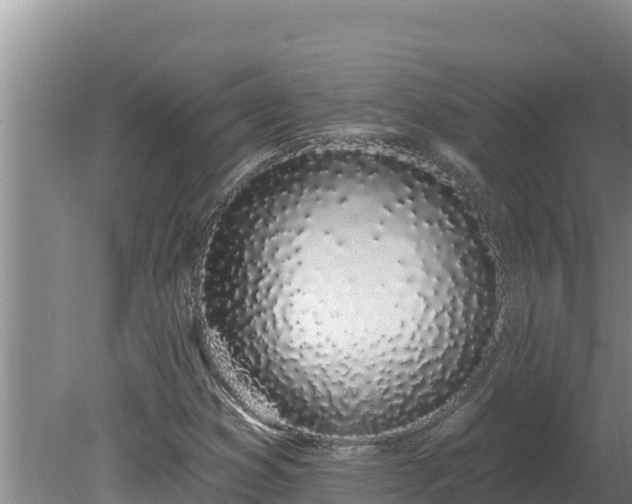 X0000080131353200612151728