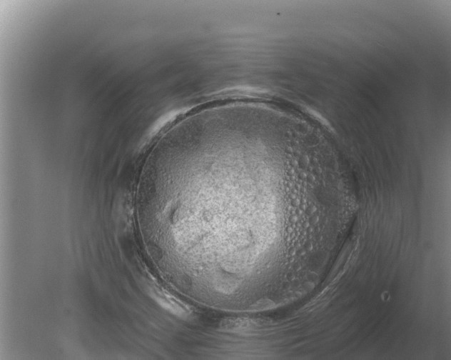 X0000080131355200612151728