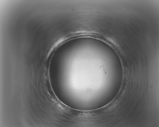 X0000080131357200612151728