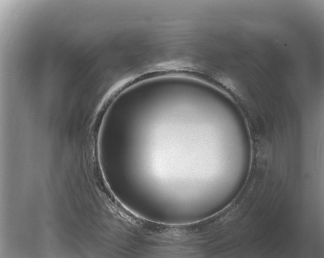 X0000080131358200612151728