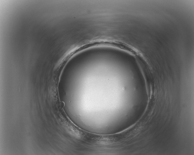 X0000080131359200612151728