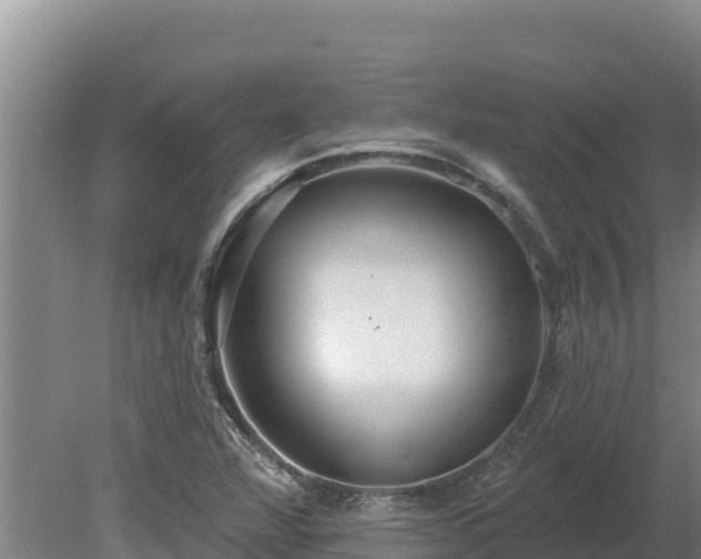 X0000080131360200612151728