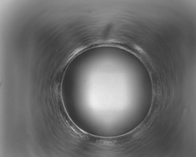 X0000080131361200612151728