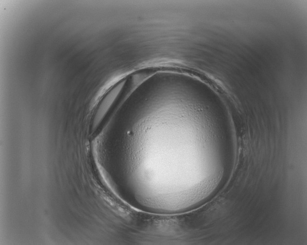 X0000080131363200612151727