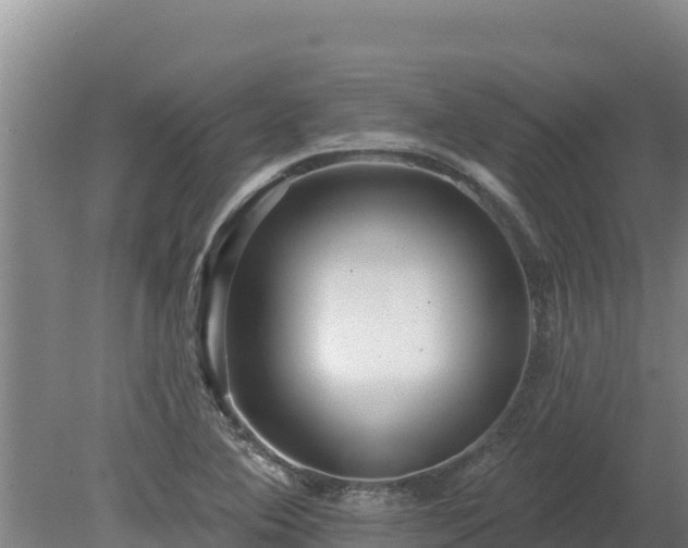 X0000080131364200612151727