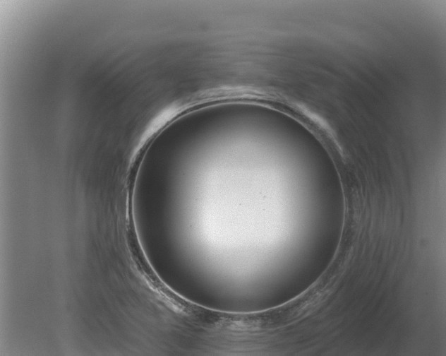 X0000080131365200612151727