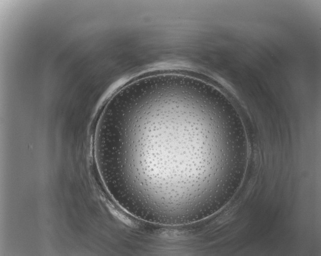 X0000080131366200612151727