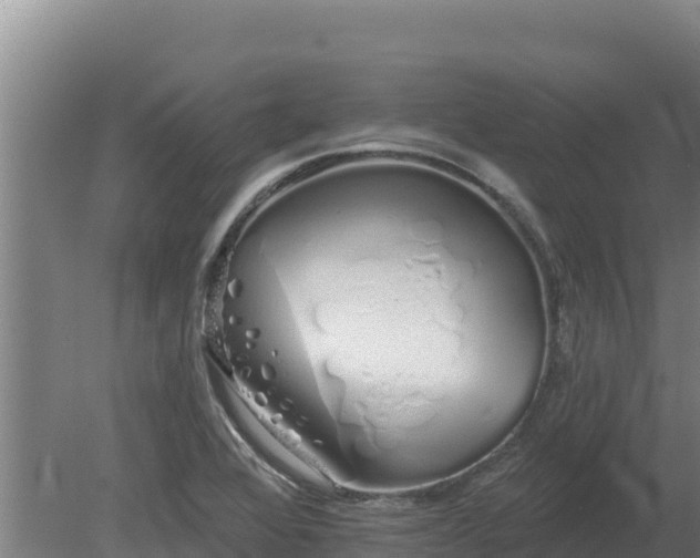 X0000080131368200612151727