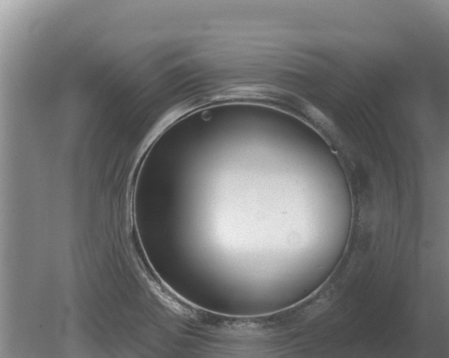 X0000080131370200612151727