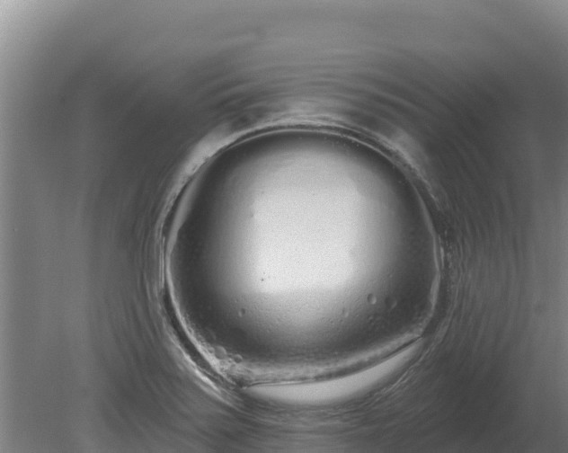 X0000080131371200612151727