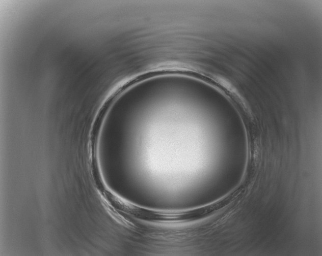 X0000080131372200612151727